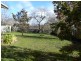 8 Lonsdale Promenade, Westbury TAS 7303