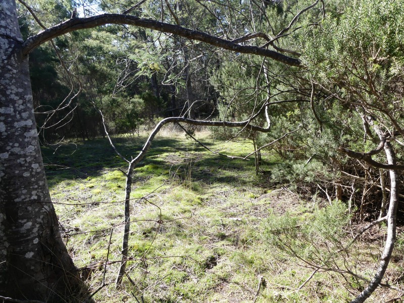 66 East Parkham Rd, Elizabeth Town TAS 7304