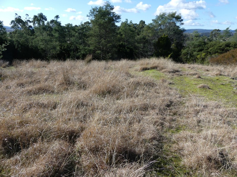 66 East Parkham Rd, Elizabeth Town TAS 7304