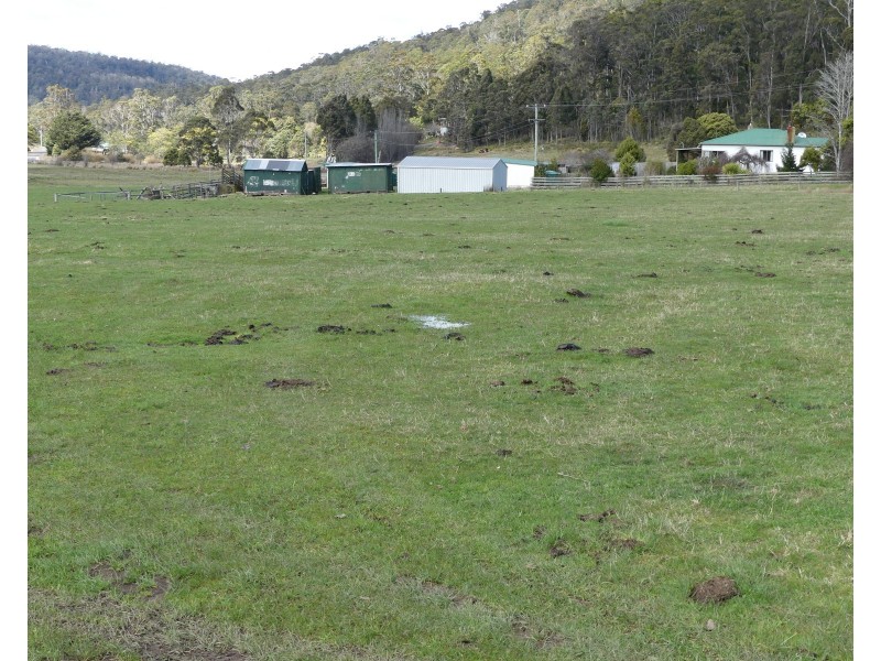 428 Priestleys Lane, Birralee TAS 7303