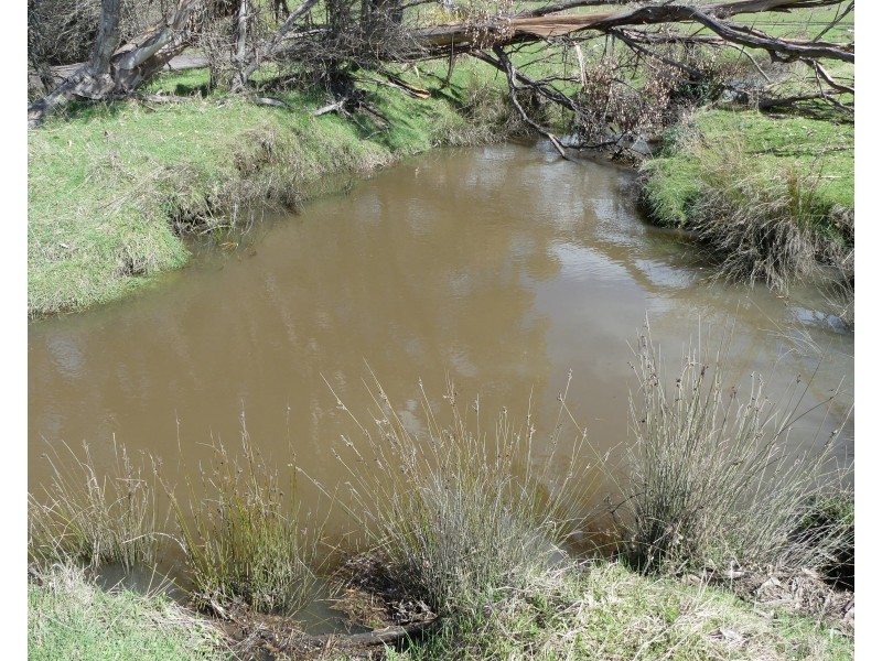 428 Priestleys Lane, Birralee TAS 7303