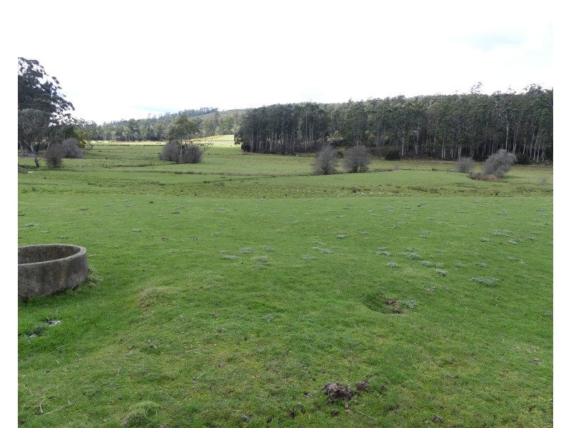 428 Priestleys Lane, Birralee TAS 7303