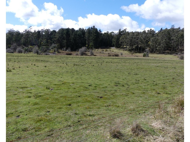 428 Priestleys Lane, Birralee TAS 7303