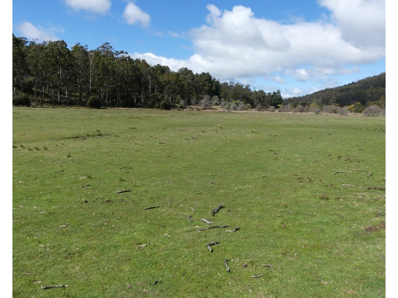 428 Priestleys Lane, Birralee TAS 7303