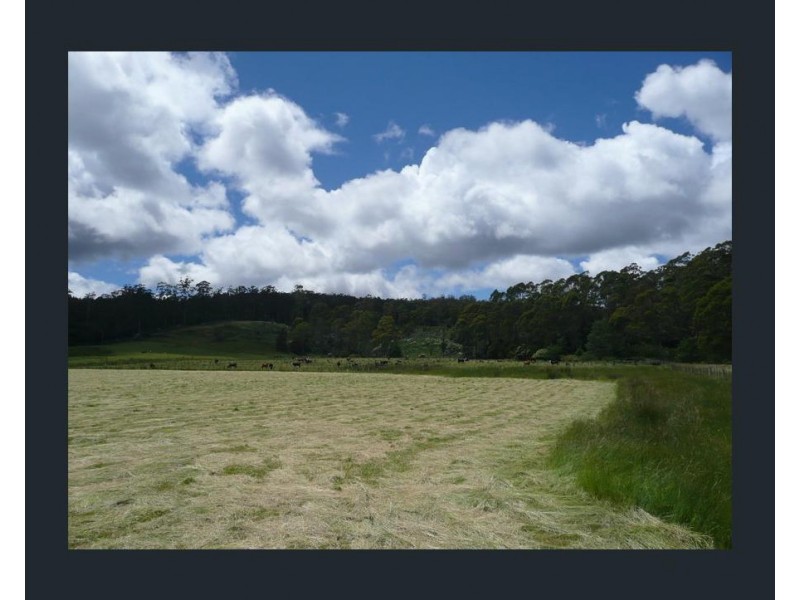 428 Priestleys Lane, Birralee TAS 7303