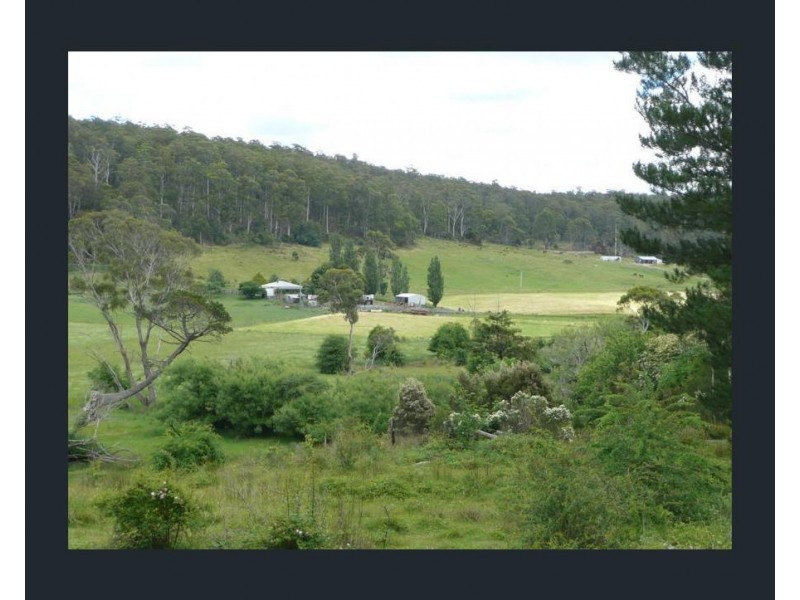428 Priestleys Lane, Birralee TAS 7303