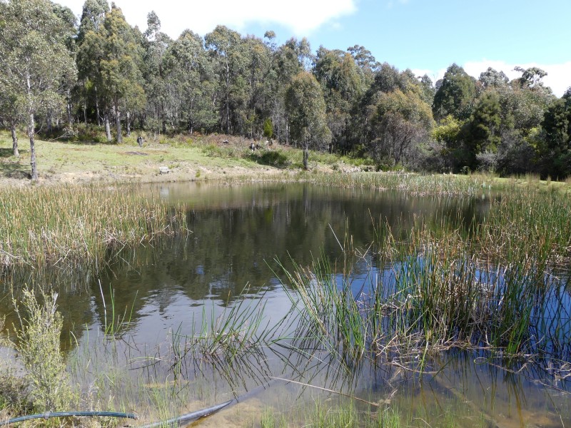 310 Fernbank Road, Osmaston TAS 7303