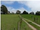 99 Coxs Rd, Red Hills TAS 7304