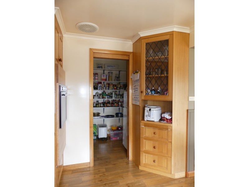 99 Coxs Rd, Red Hills TAS 7304
