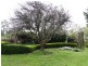 99 Coxs Rd, Red Hills TAS 7304