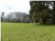 99 Coxs Rd, Red Hills TAS 7304