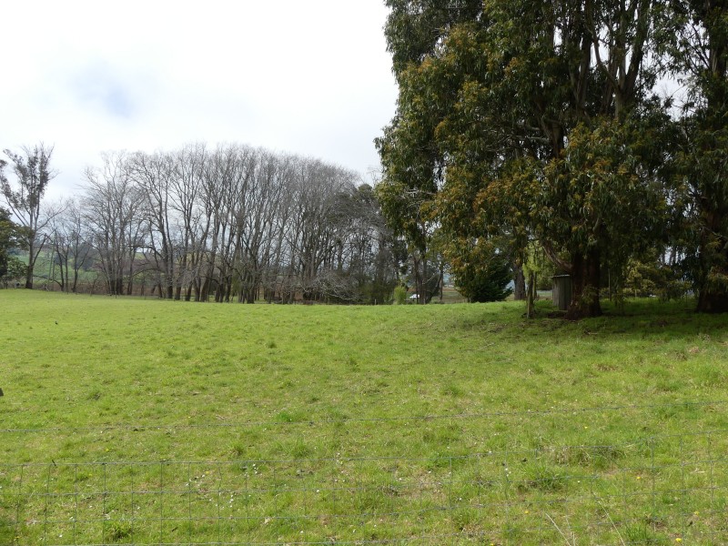 99 Coxs Rd, Red Hills TAS 7304