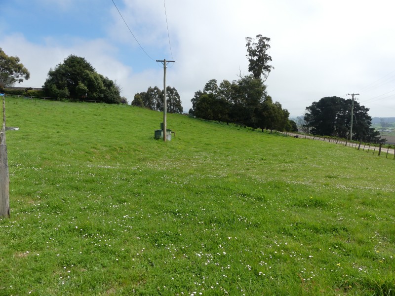 99 Coxs Rd, Red Hills TAS 7304