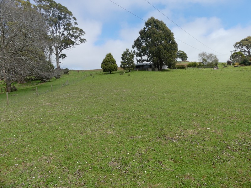 99 Coxs Rd, Red Hills TAS 7304