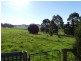 99 Coxs Rd, Red Hills TAS 7304