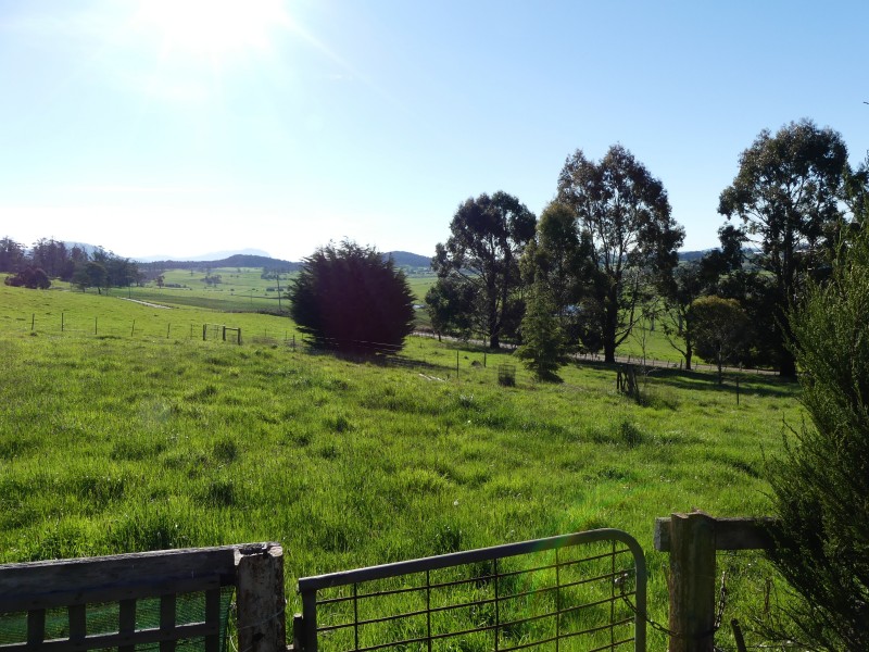 99 Coxs Rd, Red Hills TAS 7304