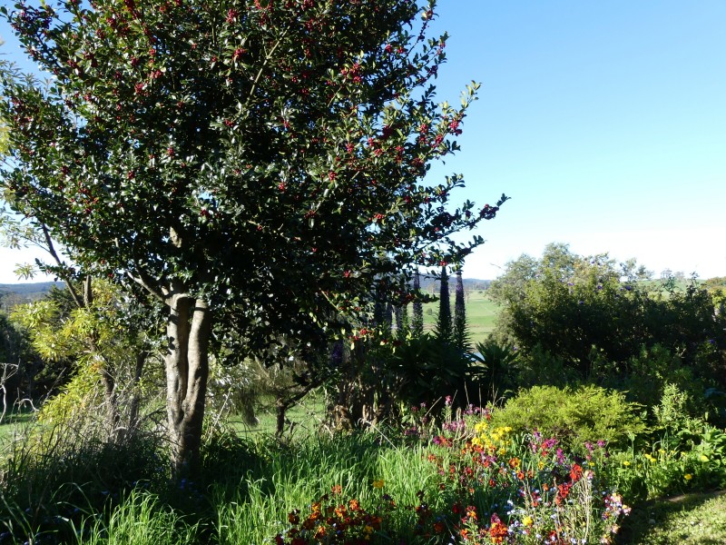 99 Coxs Rd, Red Hills TAS 7304