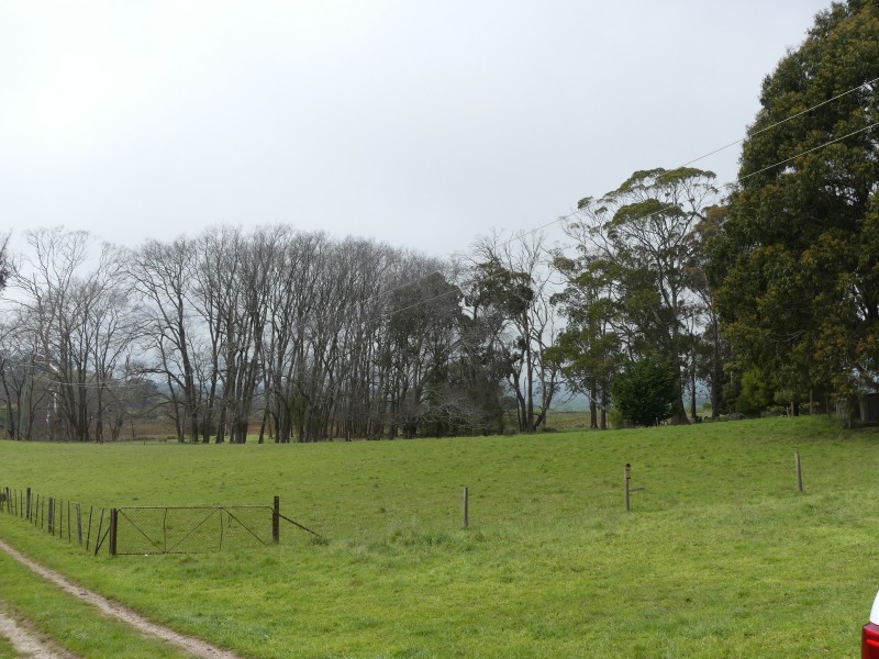 99 Coxs Rd, Red Hills TAS 7304
