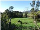 99 Coxs Rd, Red Hills TAS 7304
