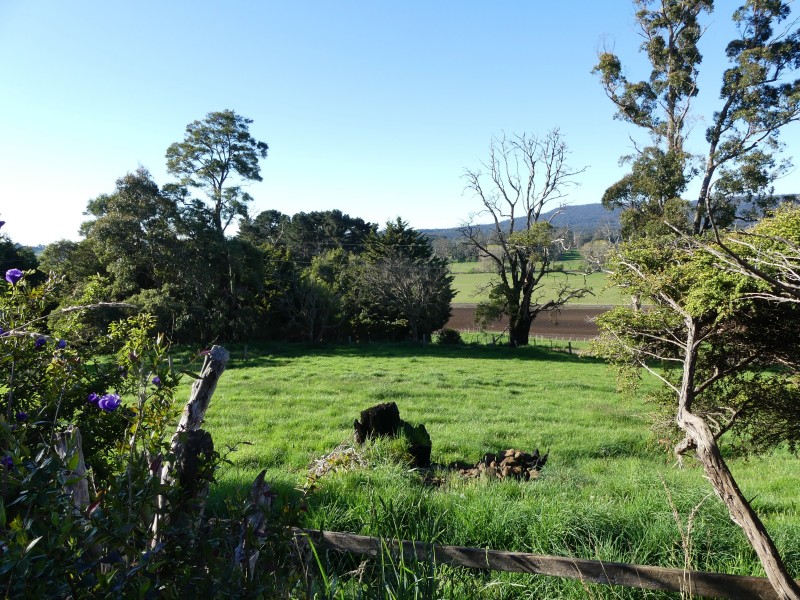 99 Coxs Rd, Red Hills TAS 7304