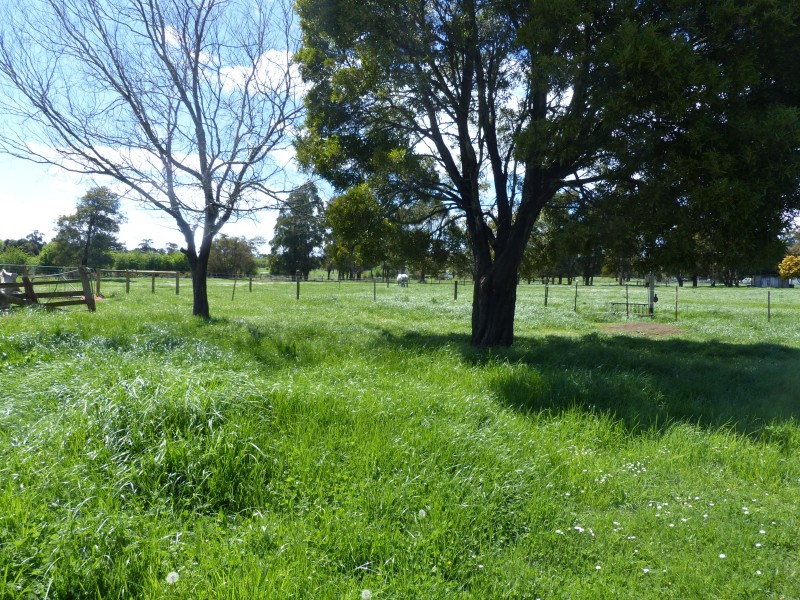 113 Reid Street, Westbury TAS 7303