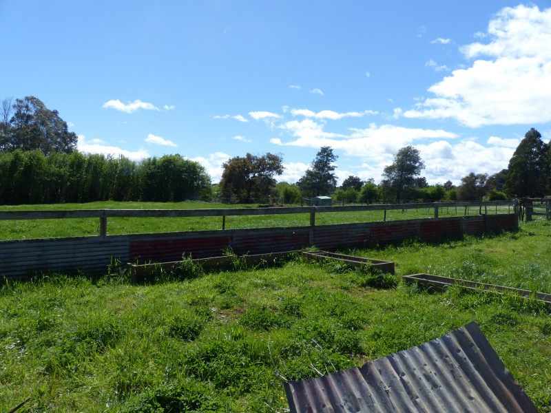 113 Reid Street, Westbury TAS 7303