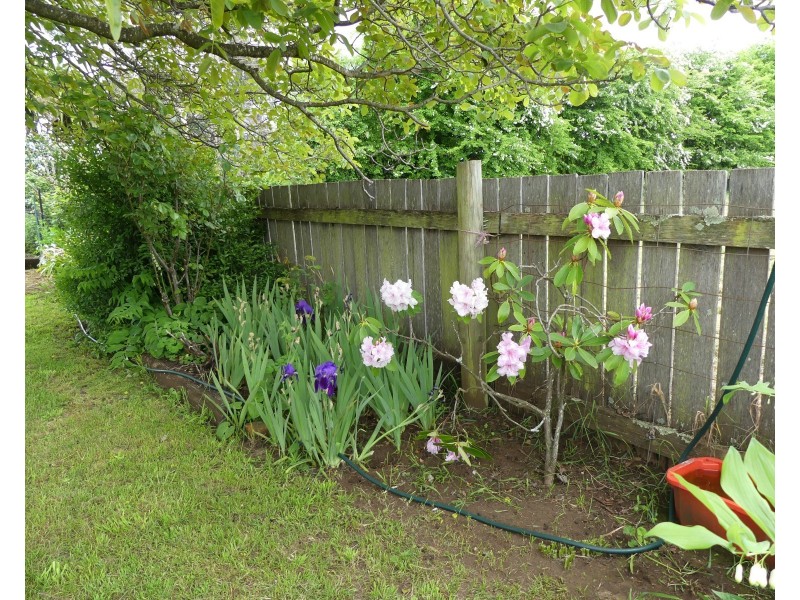 2 Veterans Row, Westbury TAS 7303