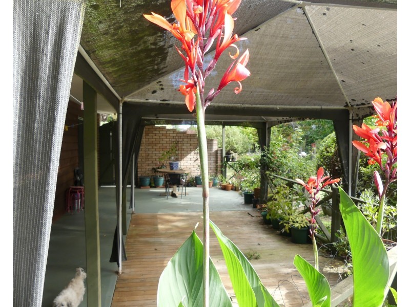 99 Samuel St, Elizabeth Town TAS 7304