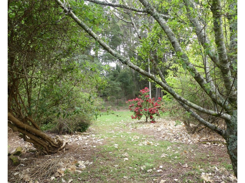 99 Samuel St, Elizabeth Town TAS 7304