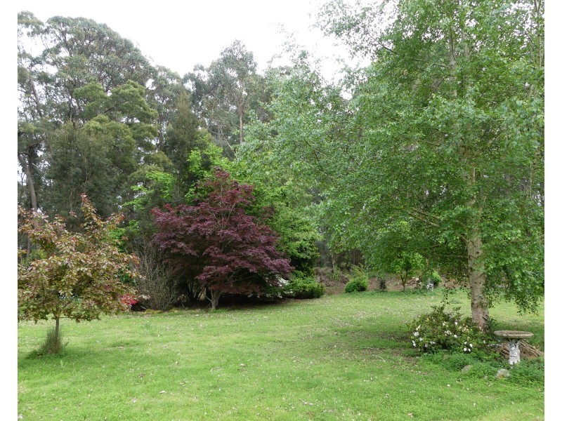 99 Samuel St, Elizabeth Town TAS 7304