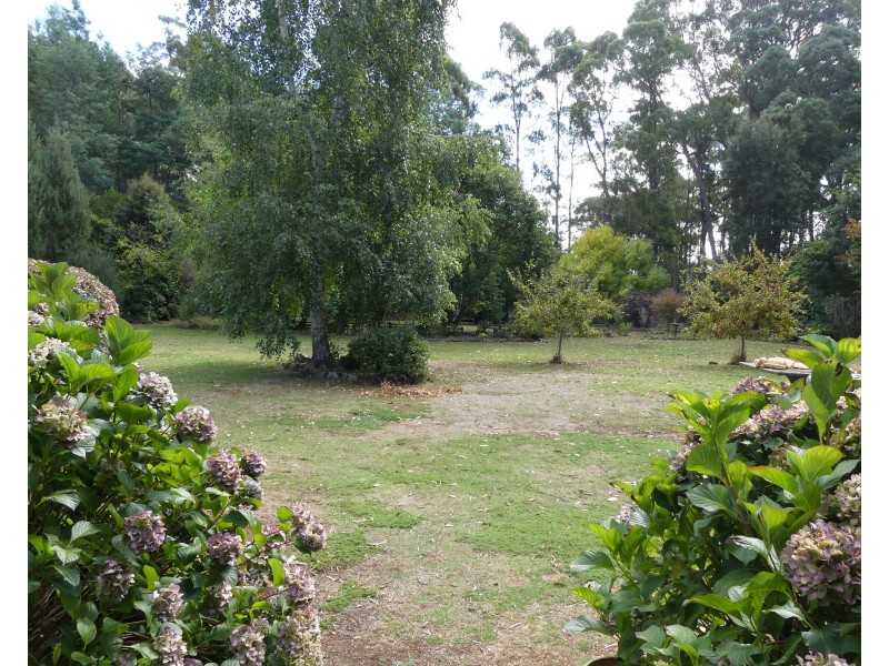 99 Samuel St, Elizabeth Town TAS 7304