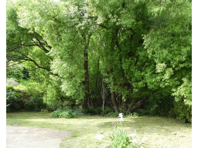 1 West Pde, Deloraine TAS 7304