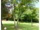 43 West Barrack St, Deloraine TAS 7304