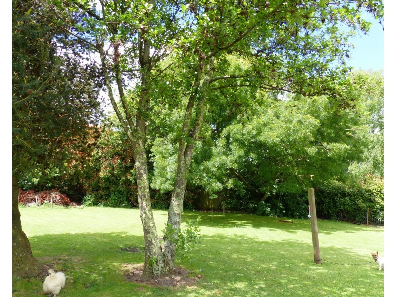 43 West Barrack St, Deloraine TAS 7304