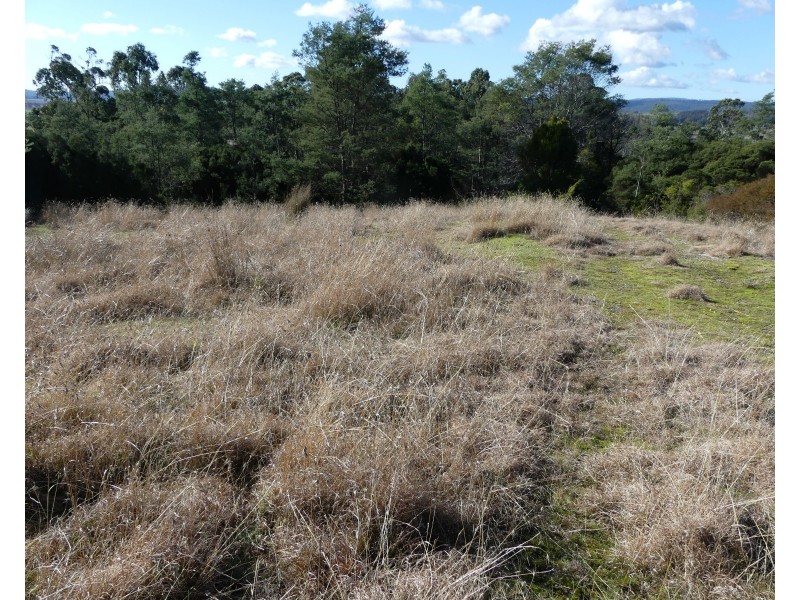 Lot 1, 66 East Parkham Road, Elizabeth Town TAS 7304