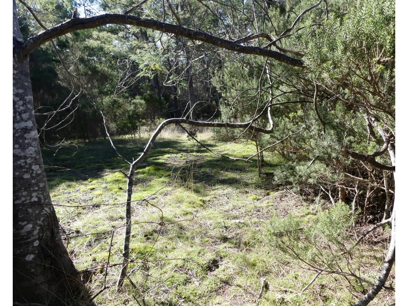 Lot 1, 66 East Parkham Road, Elizabeth Town TAS 7304