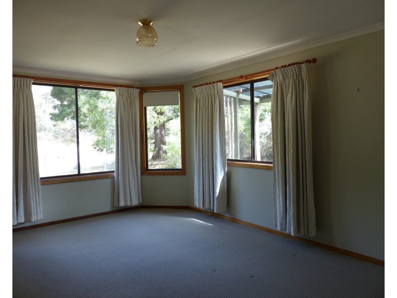 234 Farrells Rd, Reedy Marsh TAS 7304