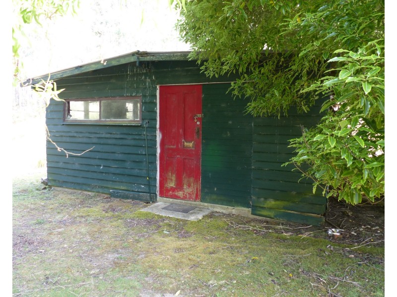 234 Farrells Rd, Reedy Marsh TAS 7304