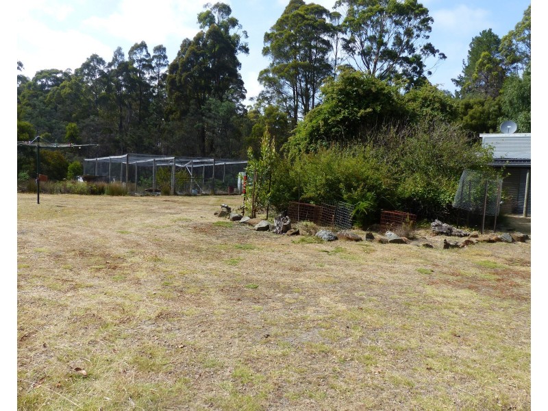 234 Farrells Rd, Reedy Marsh TAS 7304