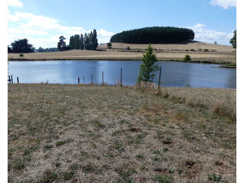 41-43 Grigg Street, Deloraine TAS 7304