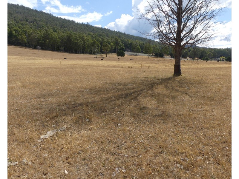 Lot 1 Union Bridge Rd, Mole Creek TAS 7304