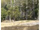 Lot 1 Union Bridge Rd, Mole Creek TAS 7304
