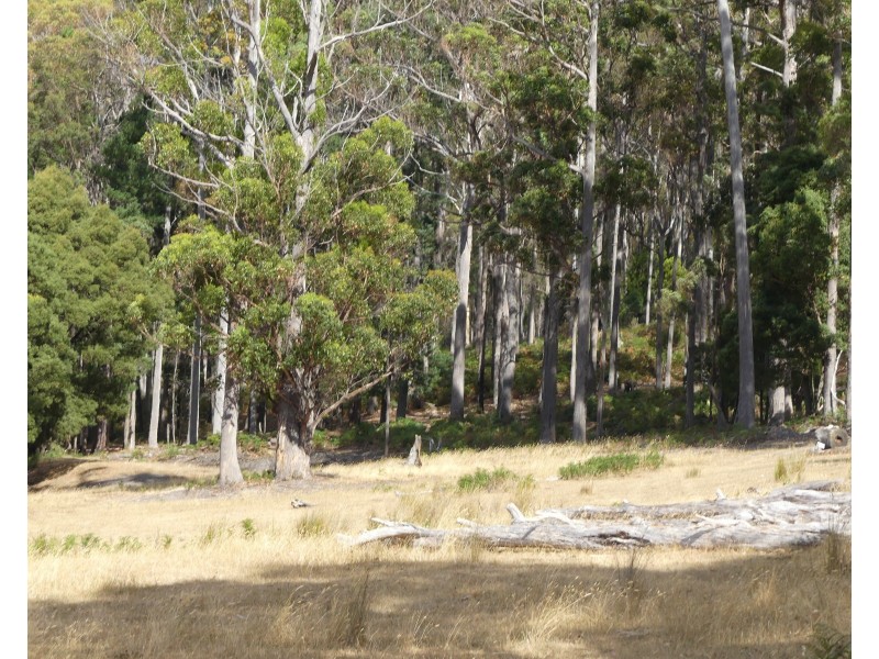 Lot 1 Union Bridge Rd, Mole Creek TAS 7304