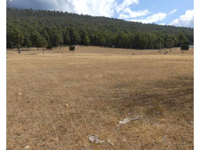 Lot 1 Union Bridge Rd, Mole Creek TAS 7304