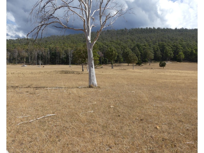 Lot 1 Union Bridge Rd, Mole Creek TAS 7304