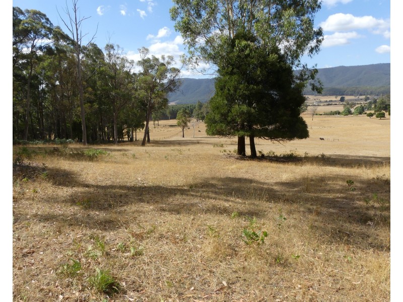 Lot 1 Union Bridge Rd, Mole Creek TAS 7304