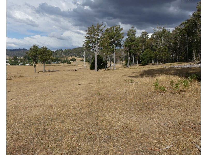 Lot 1 Union Bridge Rd, Mole Creek TAS 7304