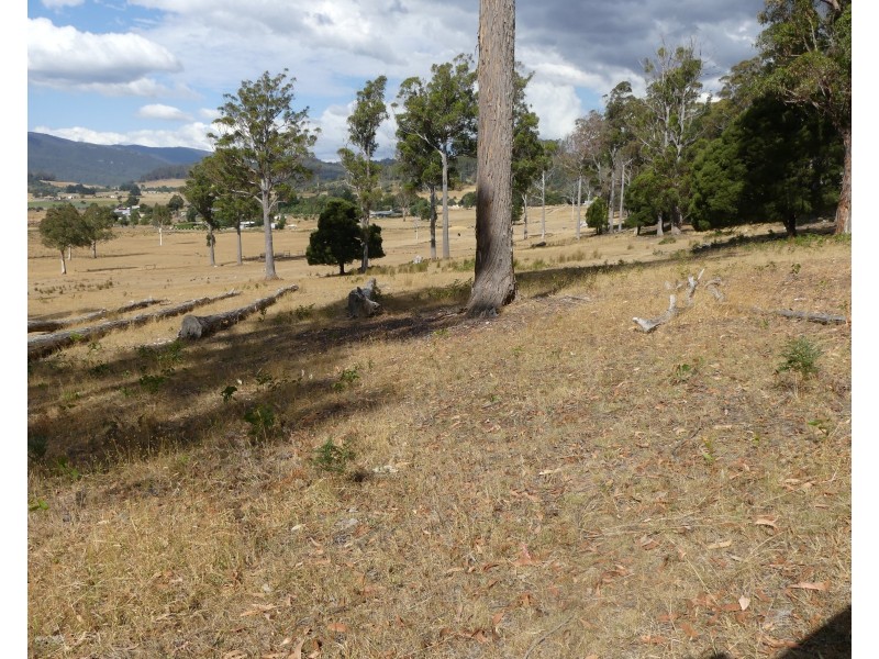 Lot 1 Union Bridge Rd, Mole Creek TAS 7304