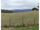 23 Mcneill St, Mole Creek TAS 7304