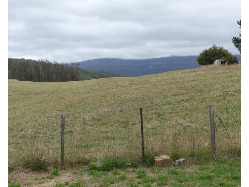 23 Mcneill St, Mole Creek TAS 7304